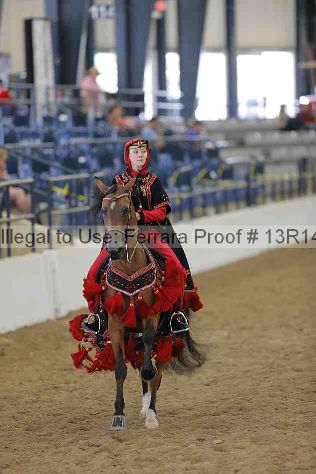 Proof 13r14_4245