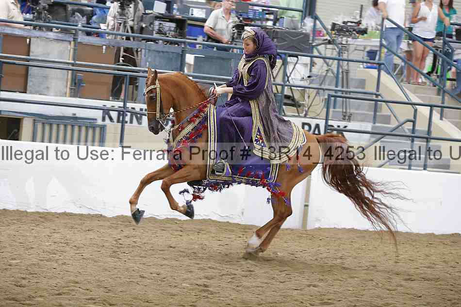Proof 13r14_4253