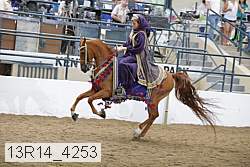 13r14_4253 proof
