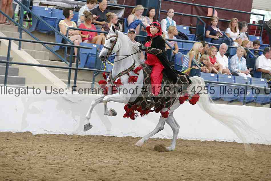 Proof 13r14_4255