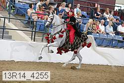 13r14_4255 proof