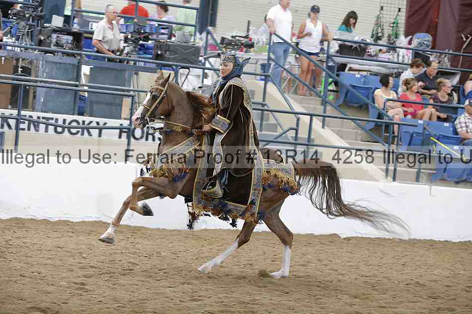 Proof 13r14_4258