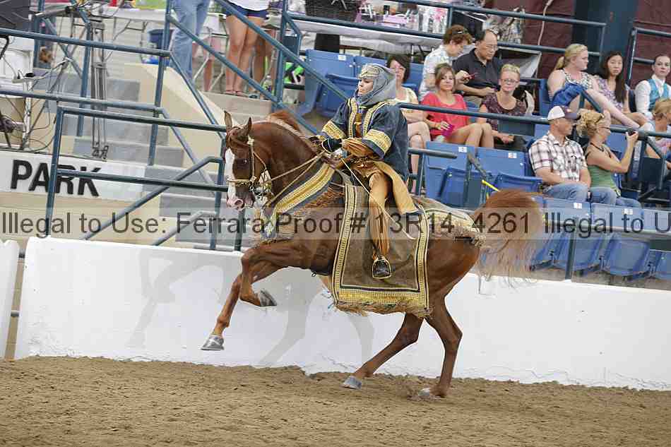 Proof 13r14_4261