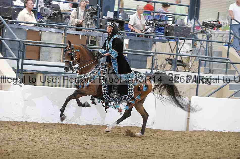 Proof 13r14_4263