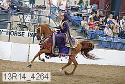 13r14_4264 proof