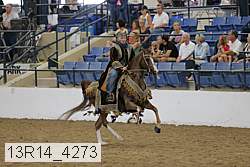 13r14_4273 proof
