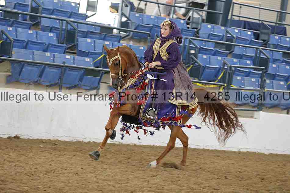 Proof 13r14_4285