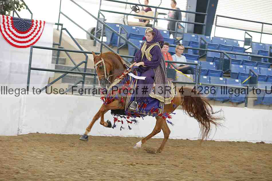 Proof 13r14_4286