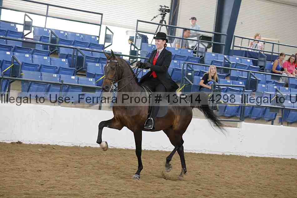 Proof 13r14_4298