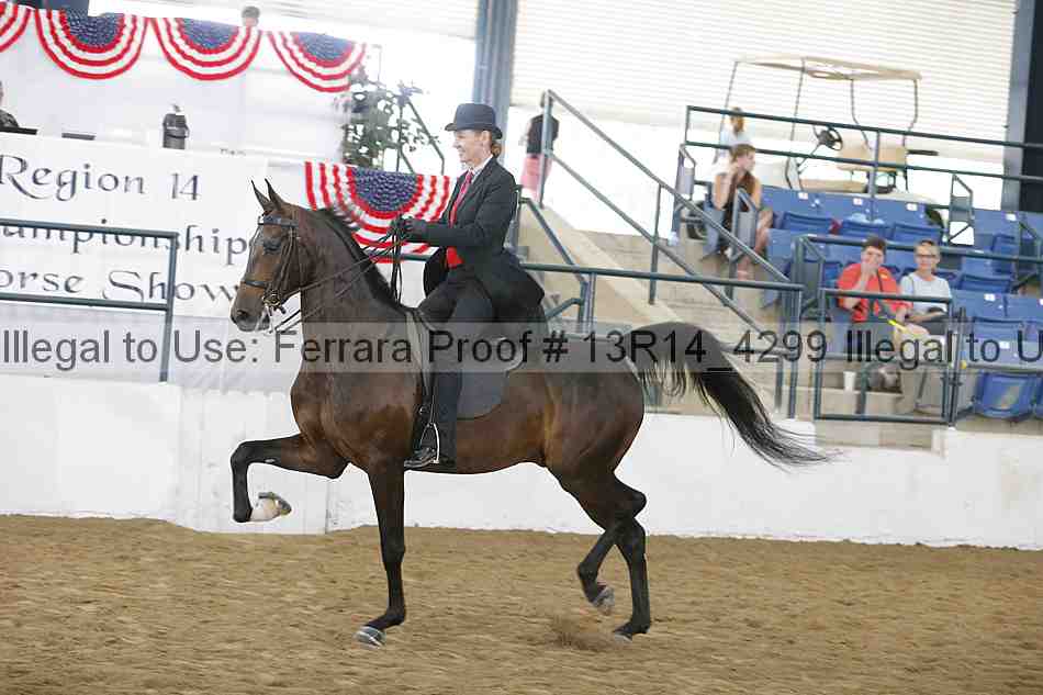 Proof 13r14_4299