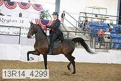 13r14_4299 proof