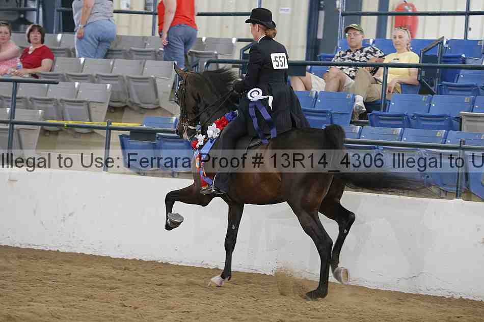 Proof 13r14_4306
