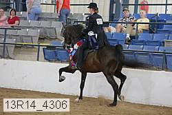 13r14_4306 proof