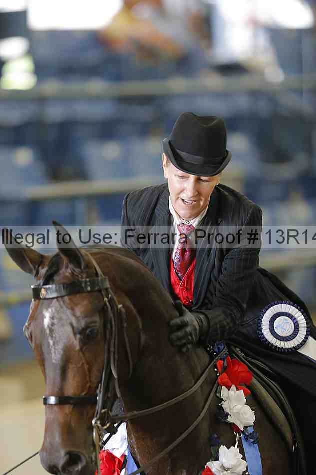 Proof 13r14_4308