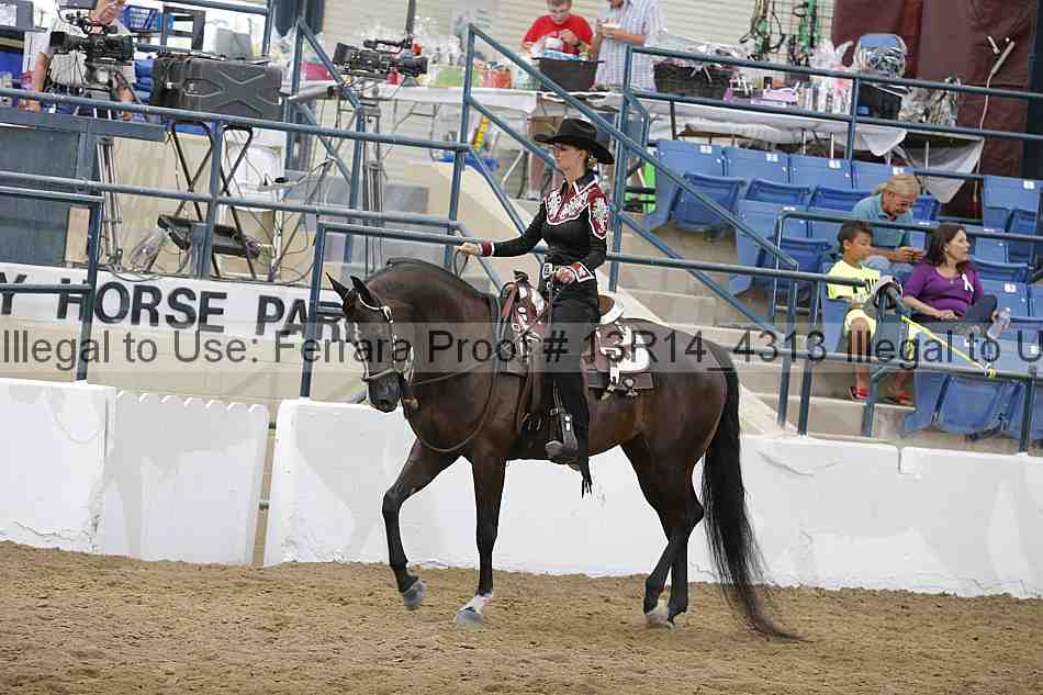 Proof 13r14_4313