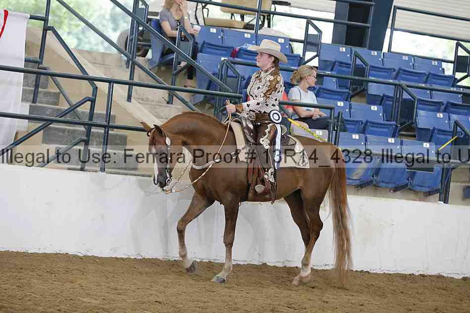 Proof 13r14_4328