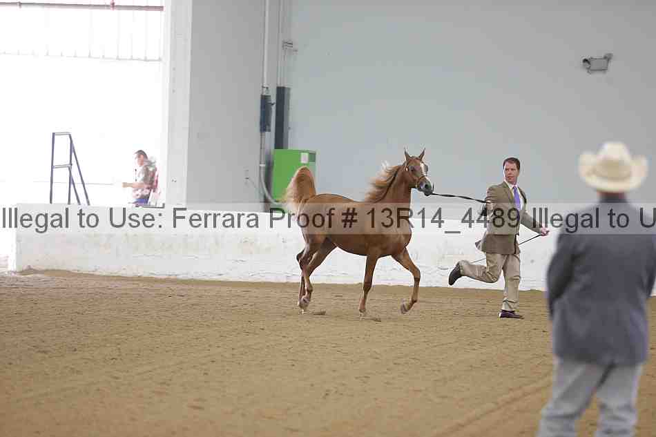 Proof 13r14_4489