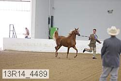 13r14_4489 proof