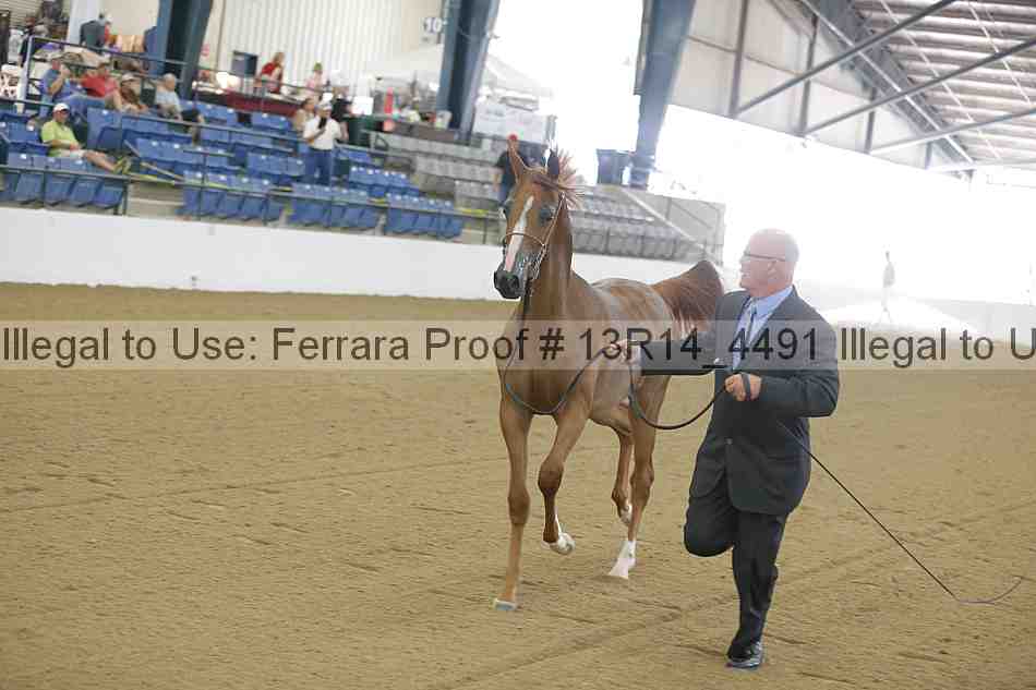 Proof 13r14_4491