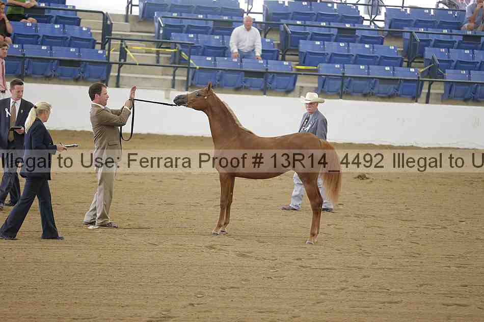 Proof 13r14_4492