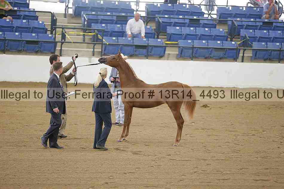 Proof 13r14_4493