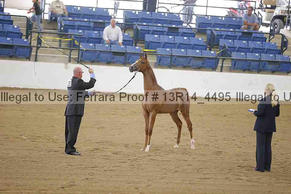 Proof 13r14_4495