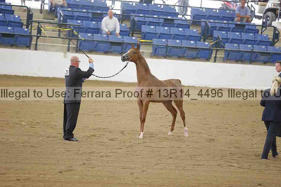 Proof 13r14_4496