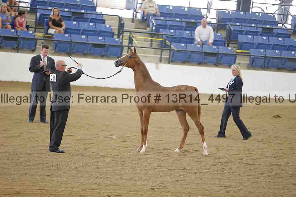 Proof 13r14_4497