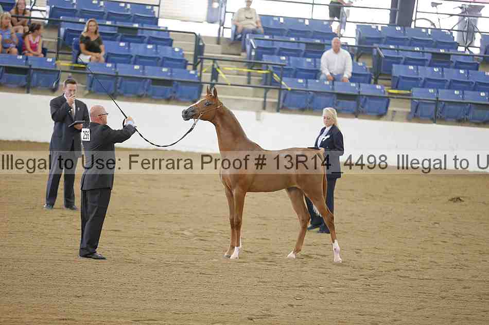 Proof 13r14_4498