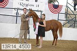 13r14_4500 proof
