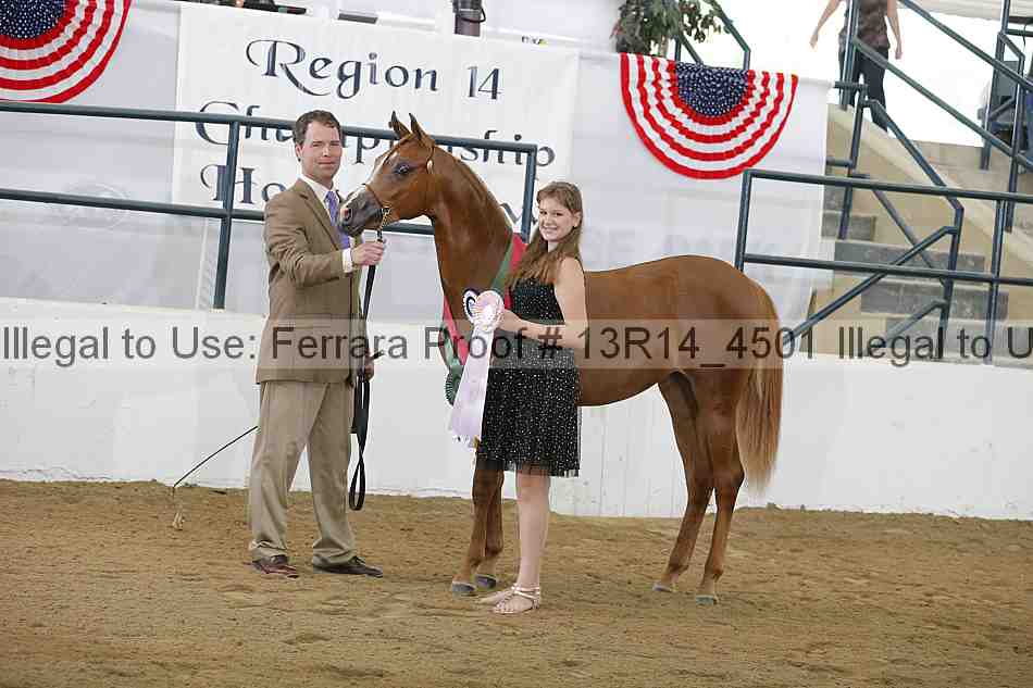Proof 13r14_4501