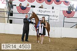 13r14_4503 proof