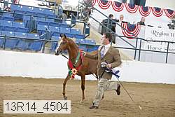 13r14_4504 proof
