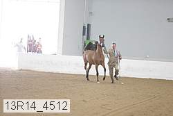 13r14_4512 proof