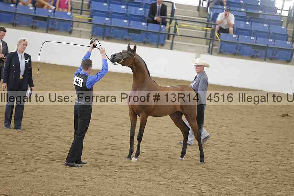 Proof 13r14_4516