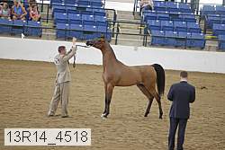 13r14_4518 proof