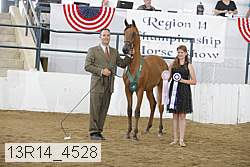 13r14_4528 proof