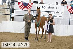 13r14_4529 proof