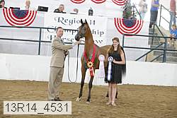 13r14_4531 proof