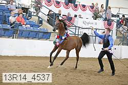 13r14_4537 proof