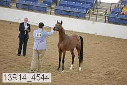 13r14_4544 proof