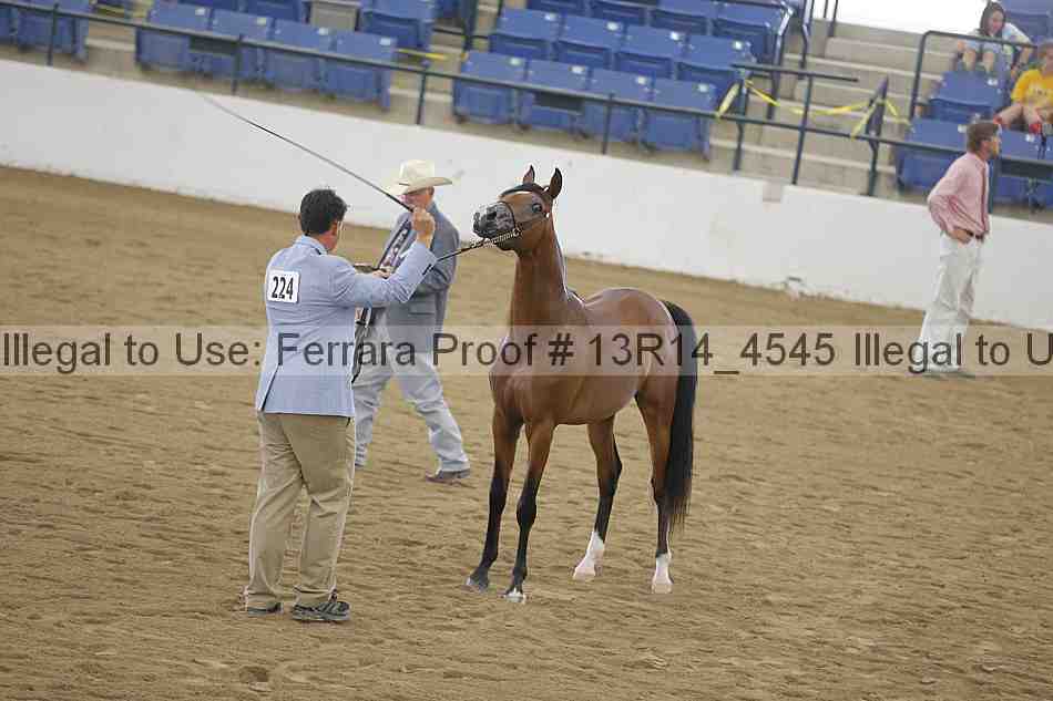 Proof 13r14_4545