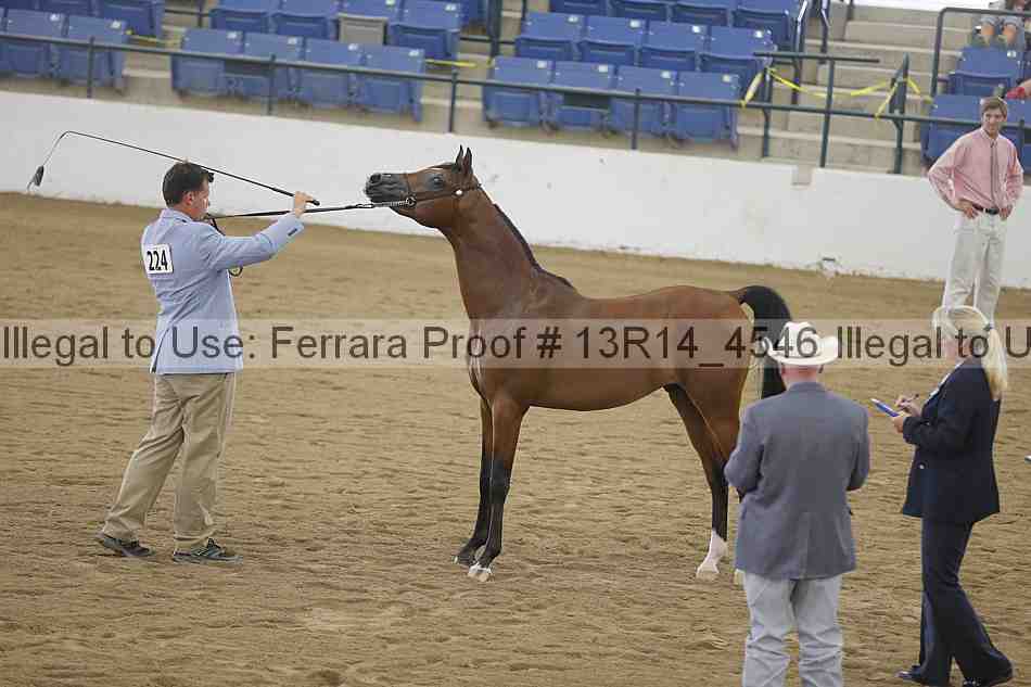 Proof 13r14_4546