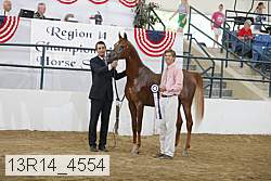 13r14_4554 proof