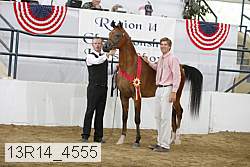13r14_4555 proof