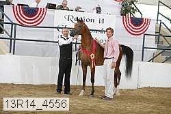 13r14_4556 proof