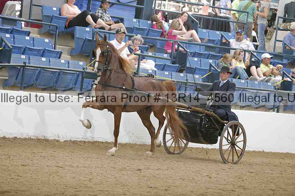 Proof 13r14_4560