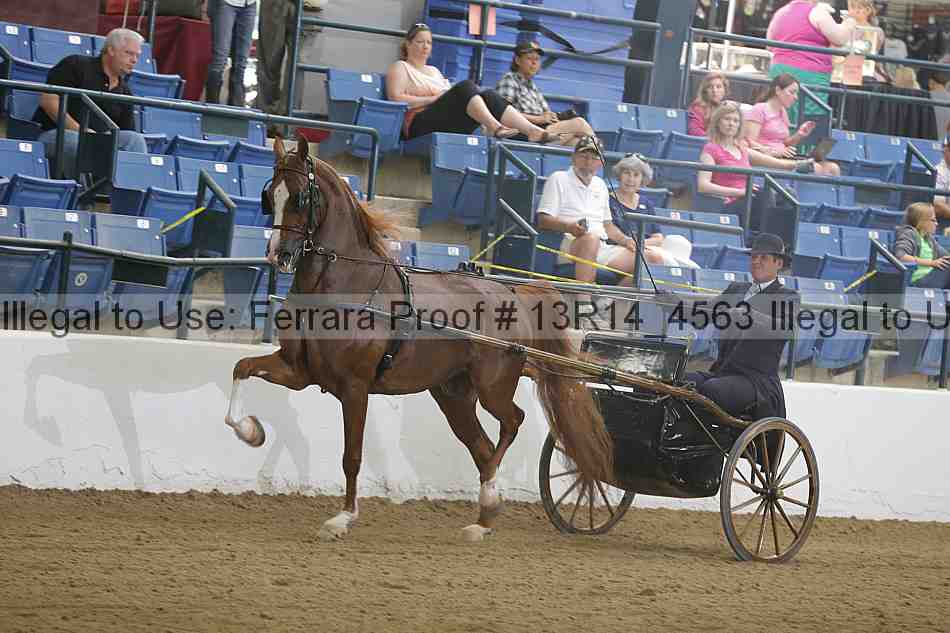 Proof 13r14_4563