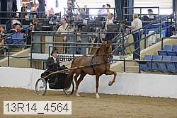 13r14_4564 proof
