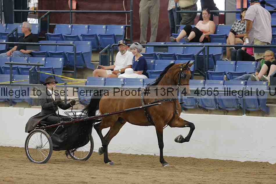 Proof 13r14_4565